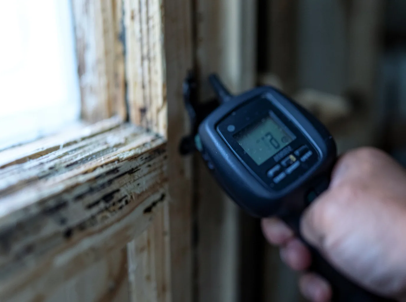 Ceiling Water Damage Repair in Fraser, MI